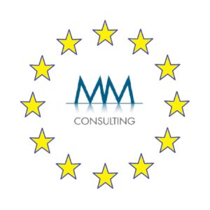 mm consulting